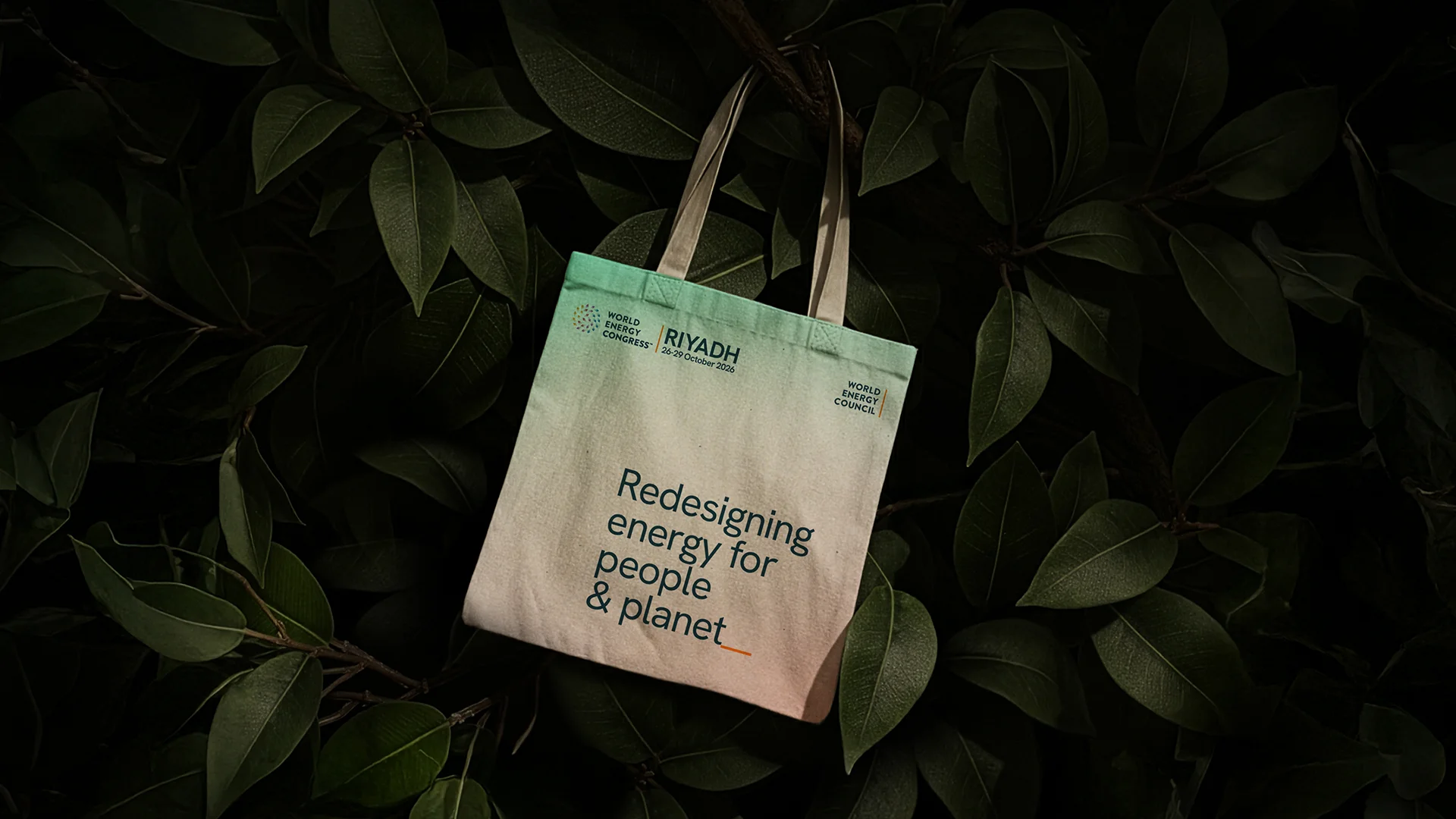 Adaption of the brand identity system across all platforms